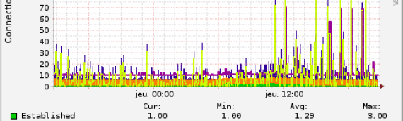 SERVEUR DEDIE – MONITORING MUNIN