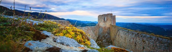 Montségur : the flower of cathar