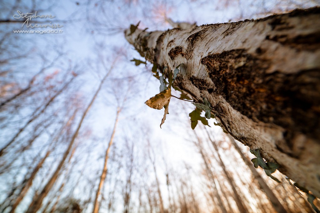 Leran-samyang-14mm-stephaneMeurisse