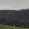 Andrea Gursky - panoramique